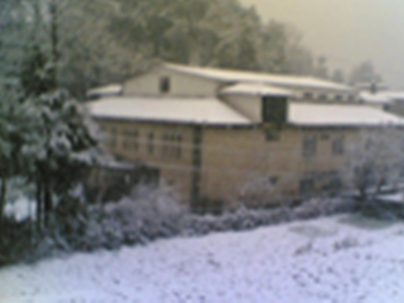 Langdale Manor Hotel Nainital Eksteriør billede